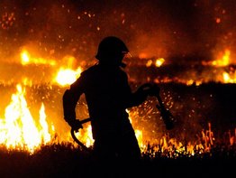 © Fabian Jones / Unsplash / Unsplash Lizenz