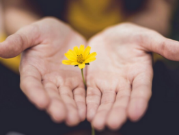 © Unsplash / Lina Trochez