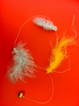 Foto: Doris Gilgenreiner