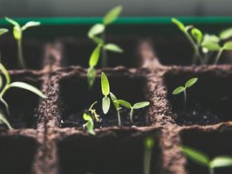 © Markus Spiske / unsplash.com / Unsplash License